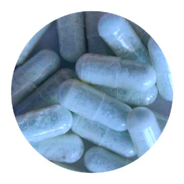 Blue Dolphin MDMA Kapseln